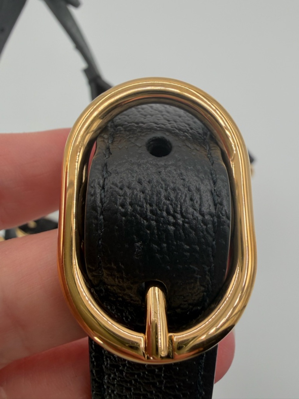 GUCCI Demetra Leather Dog Harness Black Gold Medium Excellent/Like New 🦮 Luxury. - Picture 9 of 12